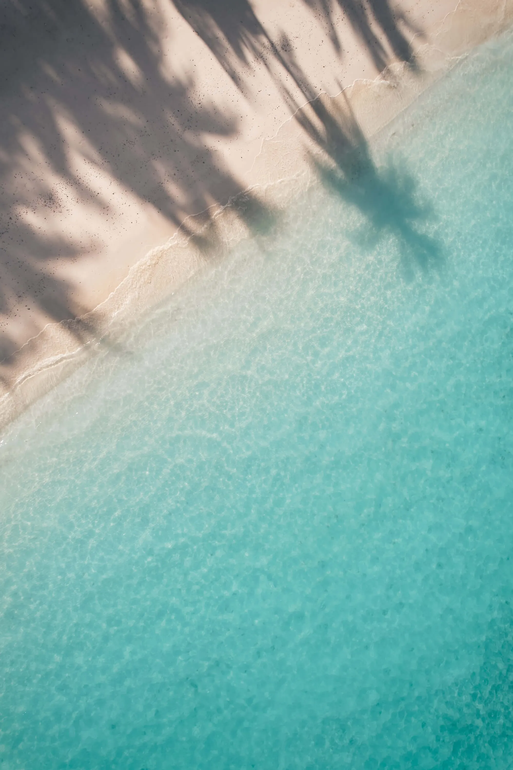 Baa Atoll Beach